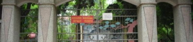 漳州糖厂写真,百年历史与糖业文化的传承与发展