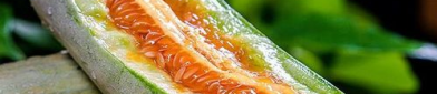 吃瓜网红韩静格,吃瓜界的风云人物