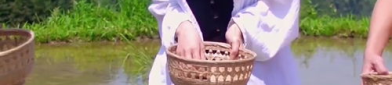 田螺小姐姐图片,田螺小姐姐的田园风情写真