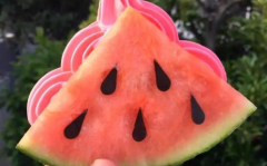 网红大嘴吃瓜,揭秘网红圈幕后故事