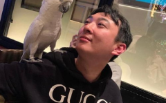 最近网红吃瓜第一线,揭秘娱乐圈最新热点事件