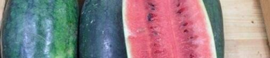 黑料吃瓜总站2,揭秘娱乐圈幕后真相，带你走进明星隐私世界