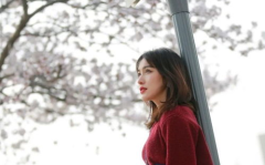 小姐姐与花相约在线观看