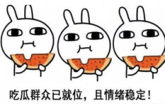 网语吃瓜的人是什么意思,网络流行语的内涵与影响