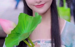 莲花公园小姐姐,邂逅美丽与自然的和谐篇章