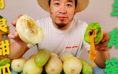 吃瓜网红时间,揭秘吃瓜网红背后的时间奥秘