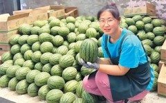 58吃瓜 吃瓜网从“开盲盒”到“精准验”：“验瓜师”火了你“”了吗？