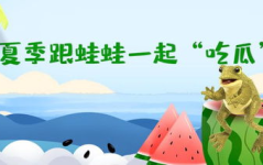 呱呱吃瓜官网,揭秘热门话题，畅享娱乐盛宴