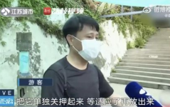 吃瓜网红被骗,揭秘网络诈骗背后的真相